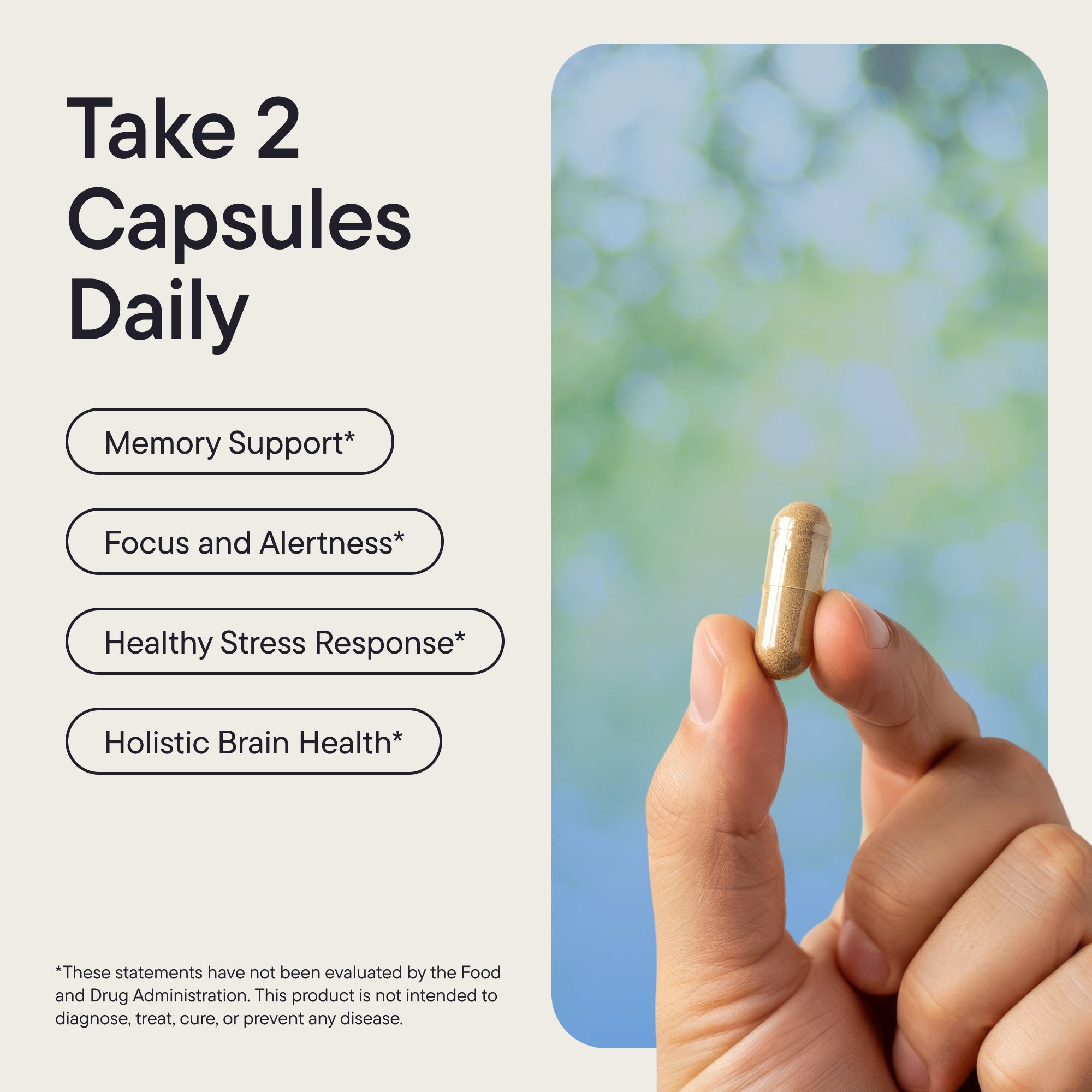 Clear Mind - Brain & Focus Formula